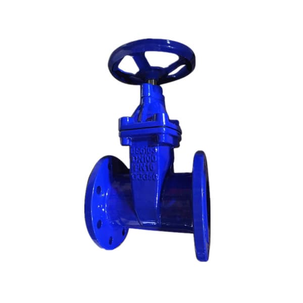 Resilient Seal BS5163 Gate Valve